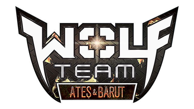 Wolfteam Hacker’ına Hapis Cezası!